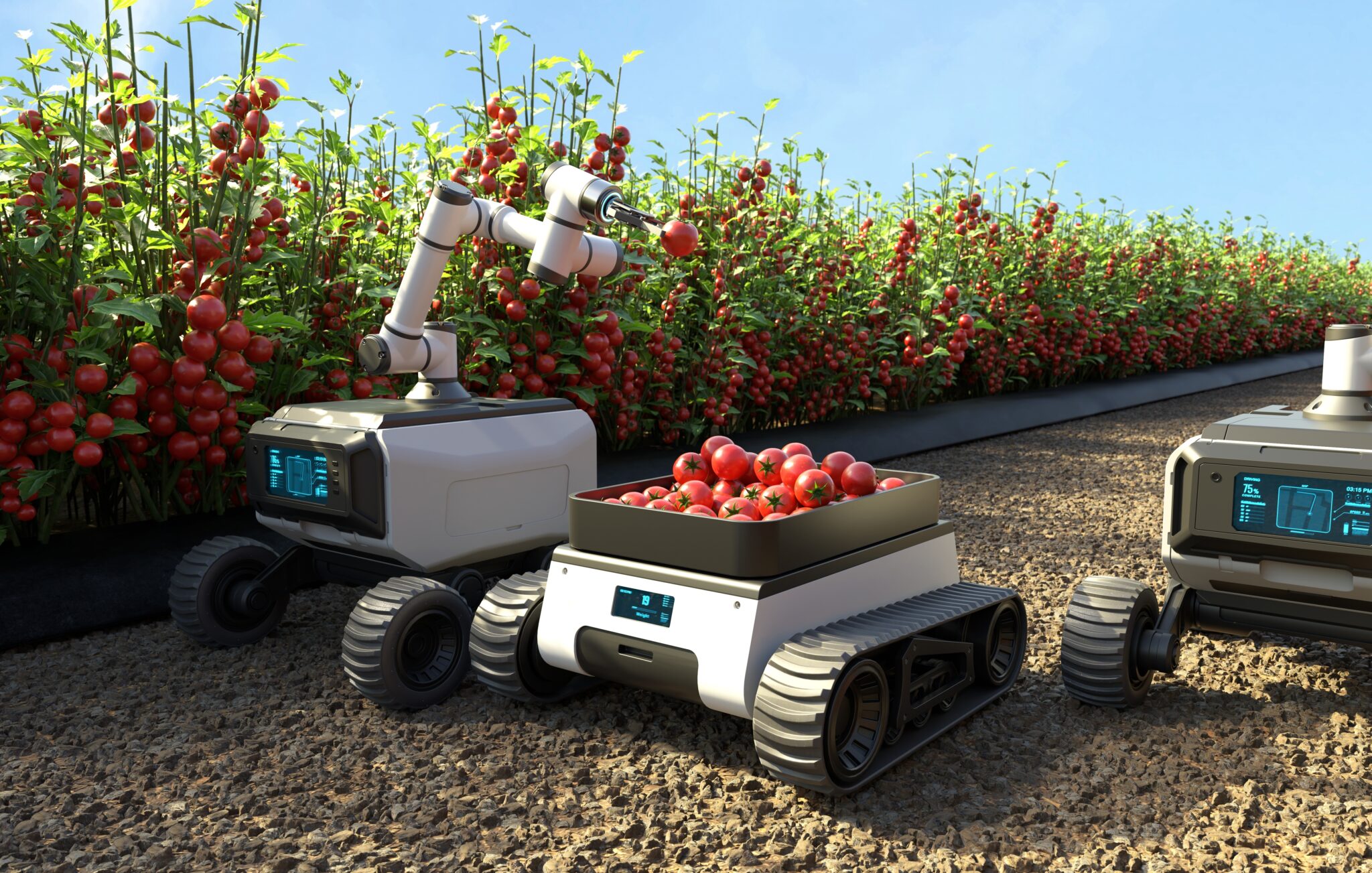 Real-time Object Detection