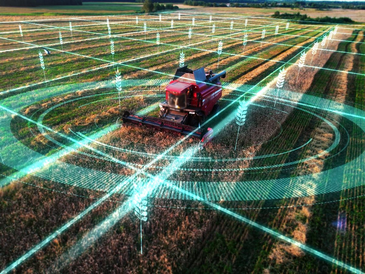 Autonomous agricultural robot using Vision AI and GPS tracking in a crop field